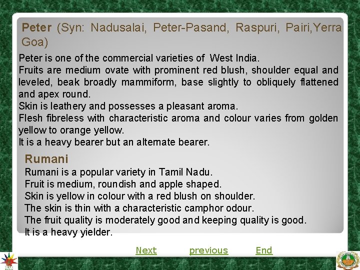 Peter (Syn: Nadusalai, Peter-Pasand, Raspuri, Pairi, Yerra Goa) Peter is one of the commercial Peter (Syn: Nadusalai, Peter-Pasand, Raspuri, Pairi, Yerra Goa) Peter is one of the commercial