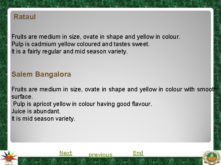 Rataul Fruits are medium in size, ovate in shape and yellow in colour. Pulp Rataul Fruits are medium in size, ovate in shape and yellow in colour. Pulp