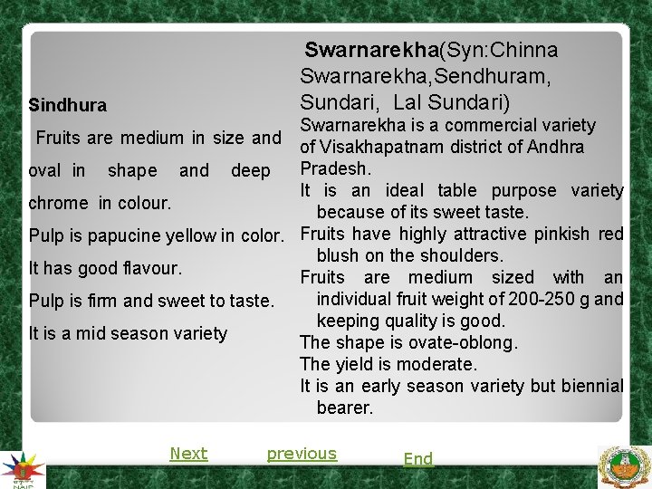 Swarnarekha(Syn: Chinna Swarnarekha, Sendhuram, Sundari, Lal Sundari) Sindhura Swarnarekha is a commercial variety of Swarnarekha(Syn: Chinna Swarnarekha, Sendhuram, Sundari, Lal Sundari) Sindhura Swarnarekha is a commercial variety of