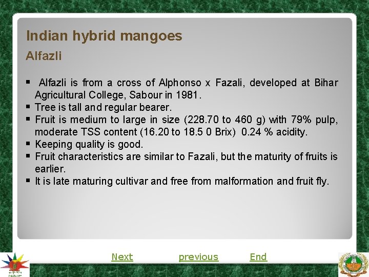 Indian hybrid mangoes Alfazli § Alfazli is from a cross of Alphonso x Fazali, Indian hybrid mangoes Alfazli § Alfazli is from a cross of Alphonso x Fazali,