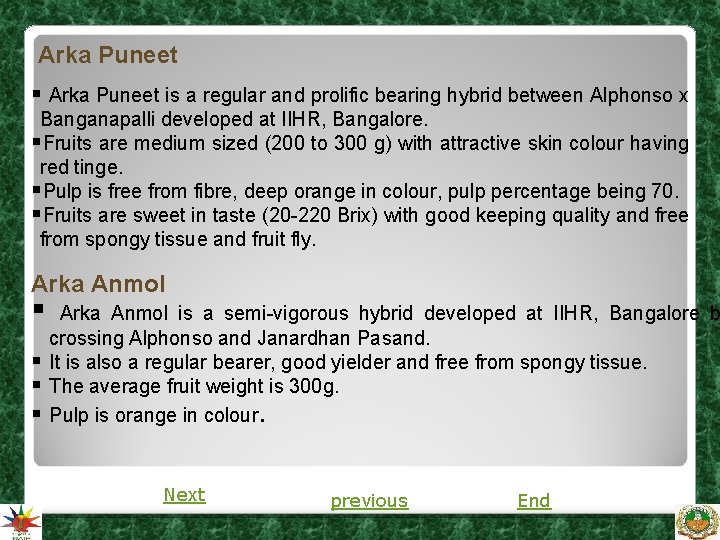 Arka Puneet § Arka Puneet is a regular and prolific bearing hybrid between Alphonso Arka Puneet § Arka Puneet is a regular and prolific bearing hybrid between Alphonso