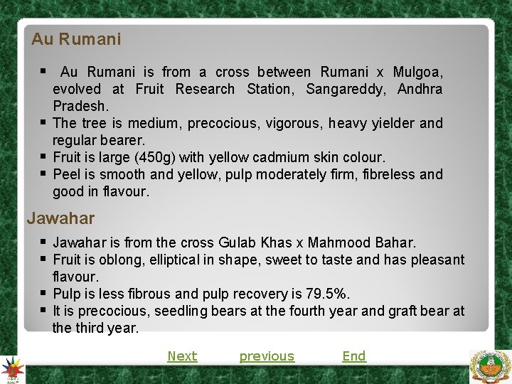 Au Rumani § Au Rumani is from a cross between Rumani x Mulgoa, § Au Rumani § Au Rumani is from a cross between Rumani x Mulgoa, §