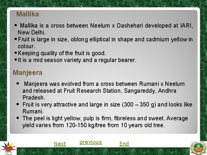 Mallika § Mallika is a cross between Neelum x Dashehari developed at IARI, New Mallika § Mallika is a cross between Neelum x Dashehari developed at IARI, New