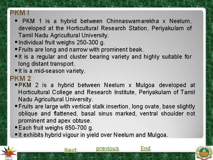PKM l § PKM 1 is a hybrid between Chinnaswarnarekha x Neelum, developed at PKM l § PKM 1 is a hybrid between Chinnaswarnarekha x Neelum, developed at