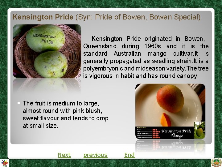 Kensington Pride (Syn: Pride of Bowen, Bowen Special) Kensington Pride originated in Bowen, Queensland Kensington Pride (Syn: Pride of Bowen, Bowen Special) Kensington Pride originated in Bowen, Queensland