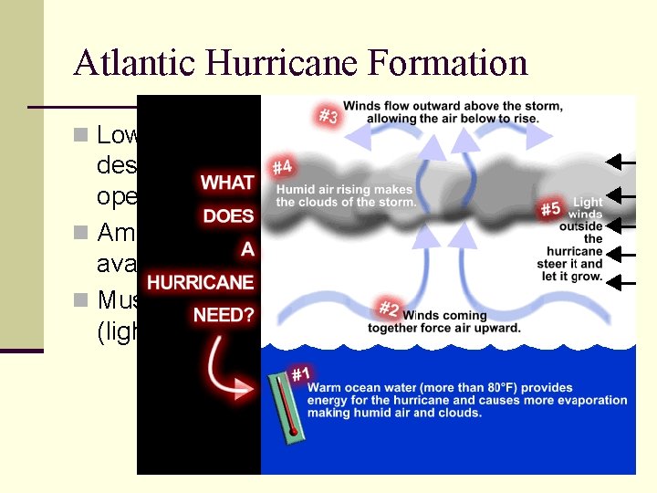 Atlantic Hurricane Formation n Low pressure centers form over Sahara desert and may get