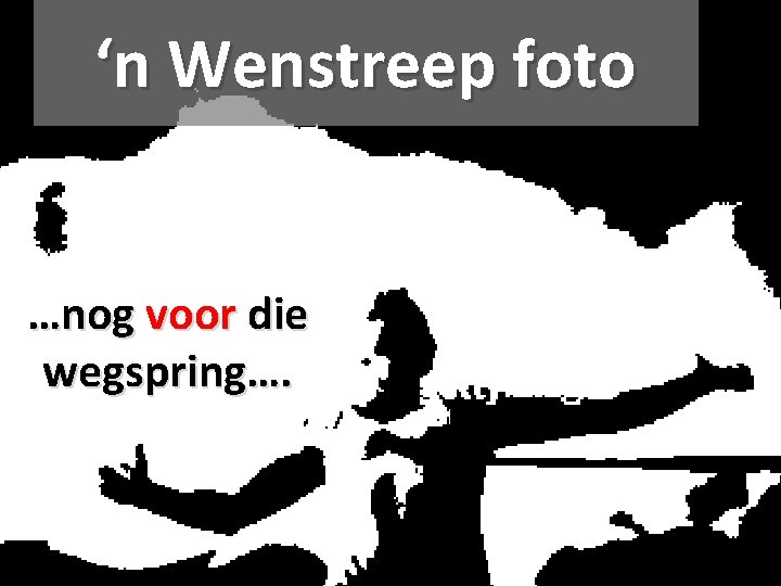 ‘n Wenstreep foto …nog voor die wegspring…. 