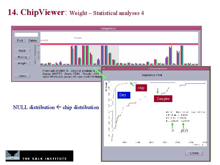 14. Chip. Viewer: Weight – Statistical analyses 4 chip DKS Samples NULL distribution chip