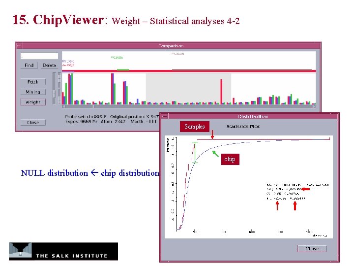 15. Chip. Viewer: Weight – Statistical analyses 4 -2 Samples chip NULL distribution chip