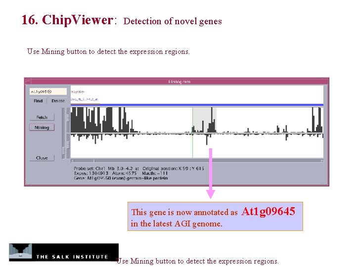 16. Chip. Viewer: Detection of novel genes Use Mining button to detect the expression