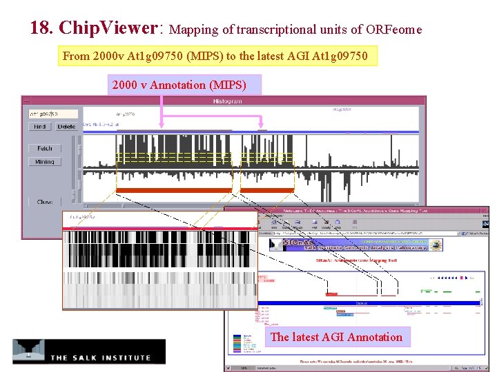 18. Chip. Viewer: Mapping of transcriptional units of ORFeome From 2000 v At 1