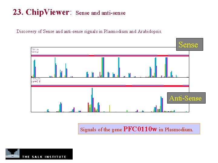 23. Chip. Viewer: Sense and anti-sense Discovery of Sense and anti-sense signals in Plasmodium