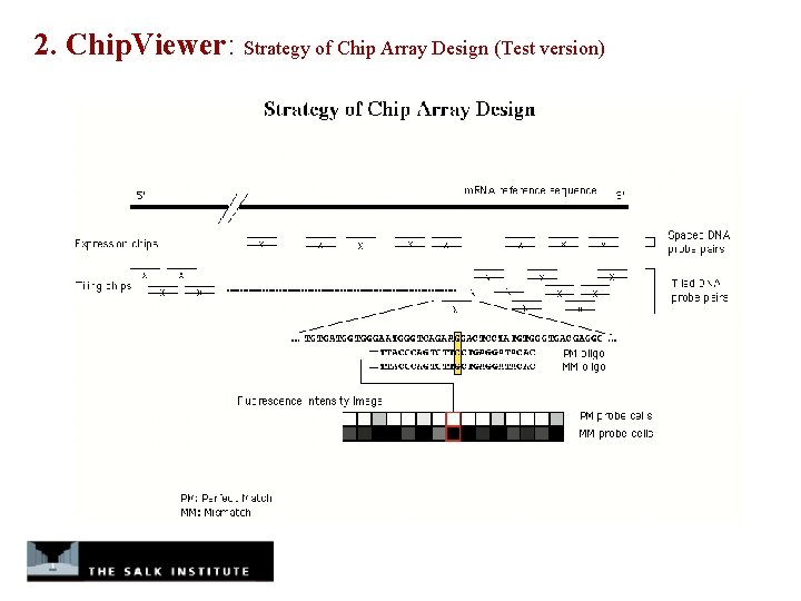 2. Chip. Viewer: Strategy of Chip Array Design (Test version) 