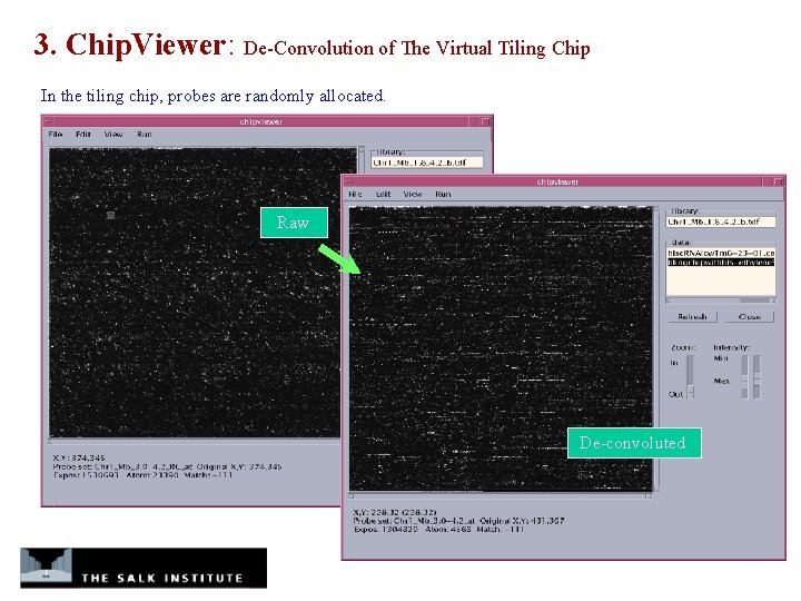 3. Chip. Viewer: De-Convolution of The Virtual Tiling Chip In the tiling chip, probes