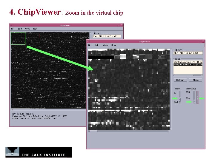 4. Chip. Viewer: Zoom in the virtual chip 