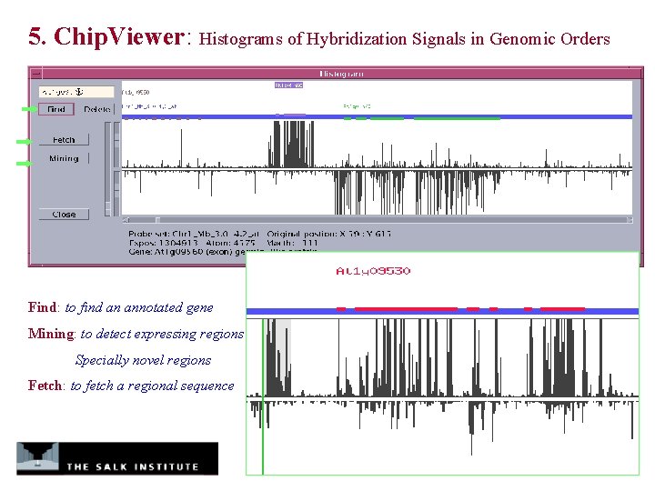 5. Chip. Viewer: Histograms of Hybridization Signals in Genomic Orders Find: to find an