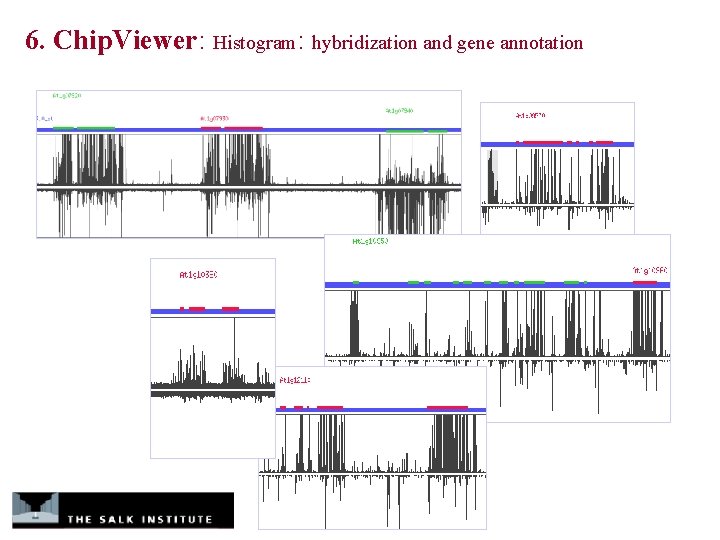 6. Chip. Viewer: Histogram: hybridization and gene annotation 