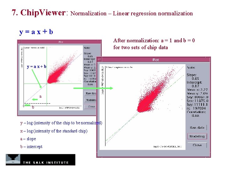 7. Chip. Viewer: Normalization – Linear regression normalization y=ax+b After normalization: a = 1