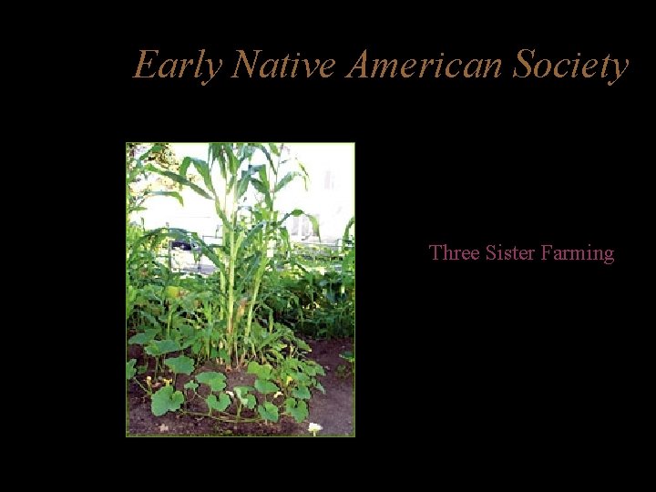 Early Native American Society - Agriculture develops - Three Sister Farming - Close relationship