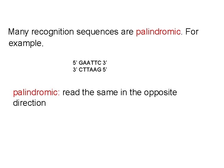 Many recognition sequences are palindromic. For example, 5’ GAATTC 3’ 3’ CTTAAG 5’ palindromic: