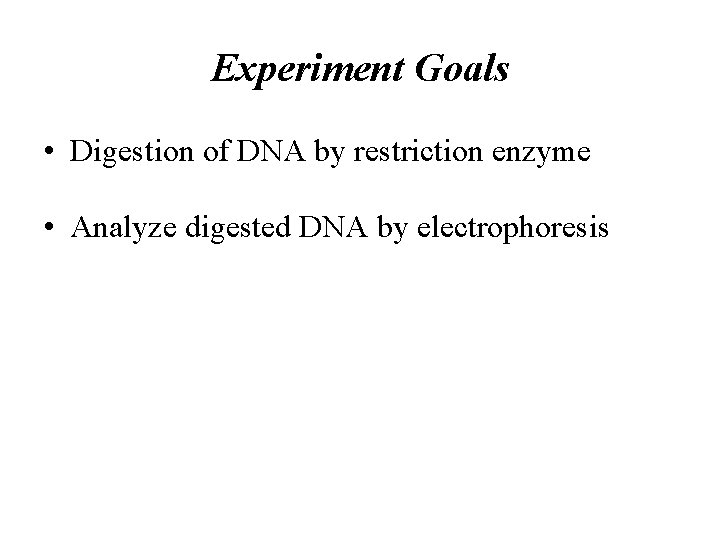 Experiment Goals • Digestion of DNA by restriction enzyme • Analyze digested DNA by