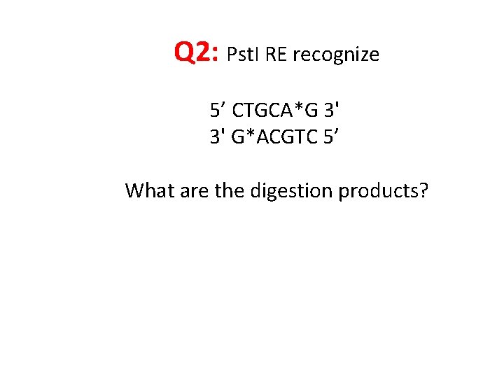 Q 2: Pst. I RE recognize 5’ CTGCA*G 3' 3' G*ACGTC 5’ What are