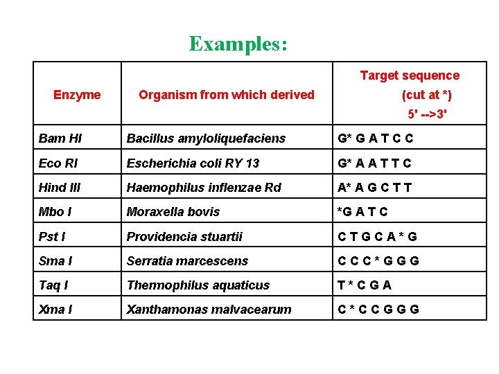 Examples: Target sequence Enzyme Organism from which derived (cut at *) 5' -->3' Bam