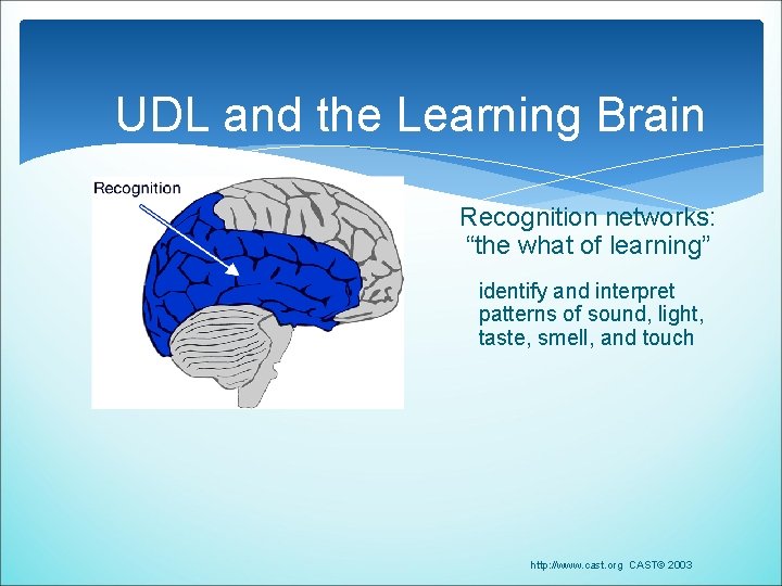 UDL and the Learning Brain Recognition networks: “the what of learning” identify and interpret UDL and the Learning Brain Recognition networks: “the what of learning” identify and interpret