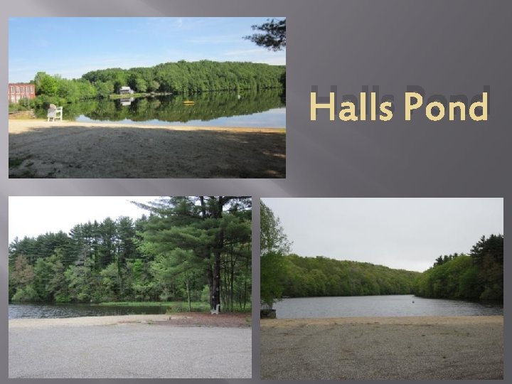 Halls Pond 