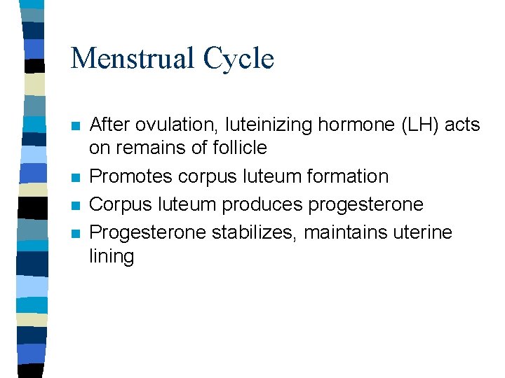 Menstrual Cycle n n After ovulation, luteinizing hormone (LH) acts on remains of follicle Menstrual Cycle n n After ovulation, luteinizing hormone (LH) acts on remains of follicle