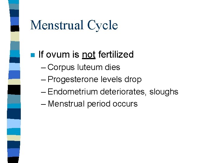 Menstrual Cycle n If ovum is not fertilized – Corpus luteum dies – Progesterone Menstrual Cycle n If ovum is not fertilized – Corpus luteum dies – Progesterone
