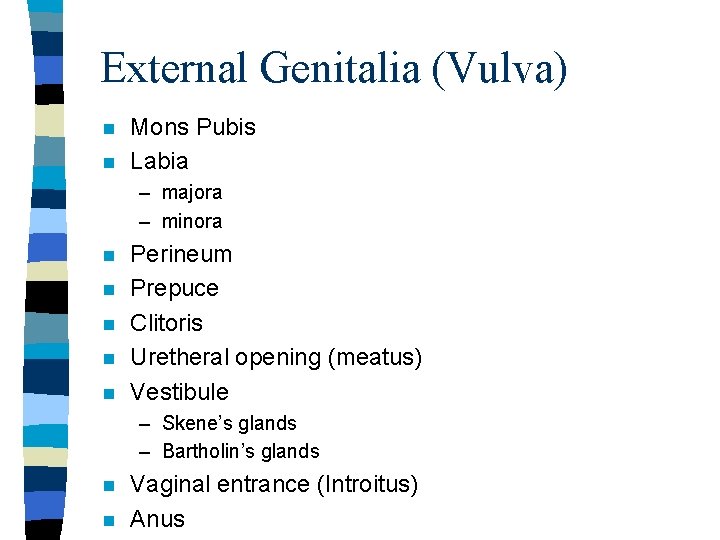 External Genitalia (Vulva) n n Mons Pubis Labia – majora – minora n n External Genitalia (Vulva) n n Mons Pubis Labia – majora – minora n n