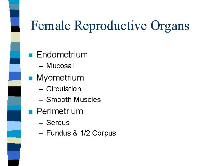 Female Reproductive Organs n Endometrium – Mucosal n Myometrium – Circulation – Smooth Muscles Female Reproductive Organs n Endometrium – Mucosal n Myometrium – Circulation – Smooth Muscles