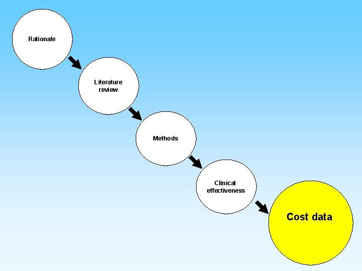 Rationale Literature review Methods Clinical effectiveness Cost data 