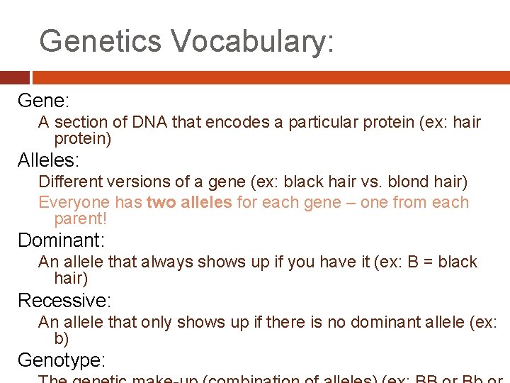 Genetics Vocabulary: Gene: A section of DNA that encodes a particular protein (ex: hair