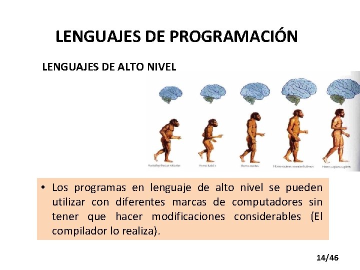 LENGUAJES DE PROGRAMACIÓN LENGUAJES DE ALTO NIVEL • Los programas en lenguaje de alto