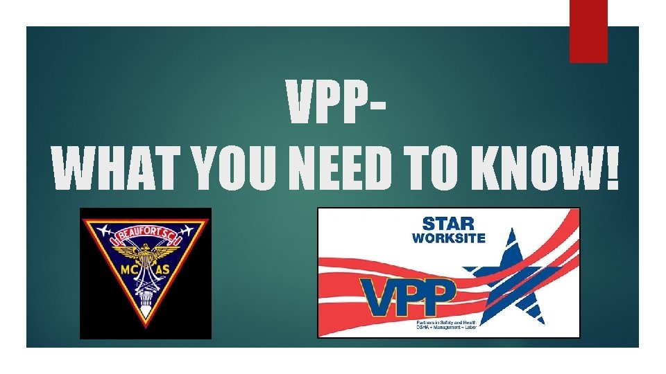 VPPWHAT YOU NEED TO KNOW! VPPWHAT YOU NEED TO KNOW!