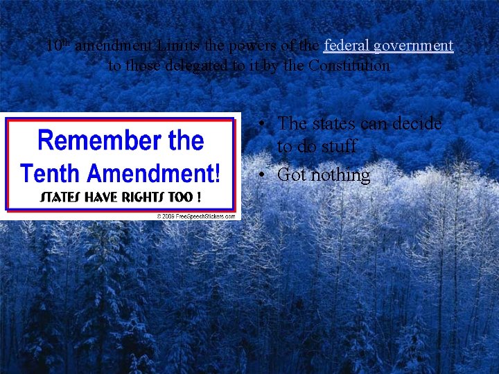 10 th amendment Limits the powers of the federal government to those delegated to