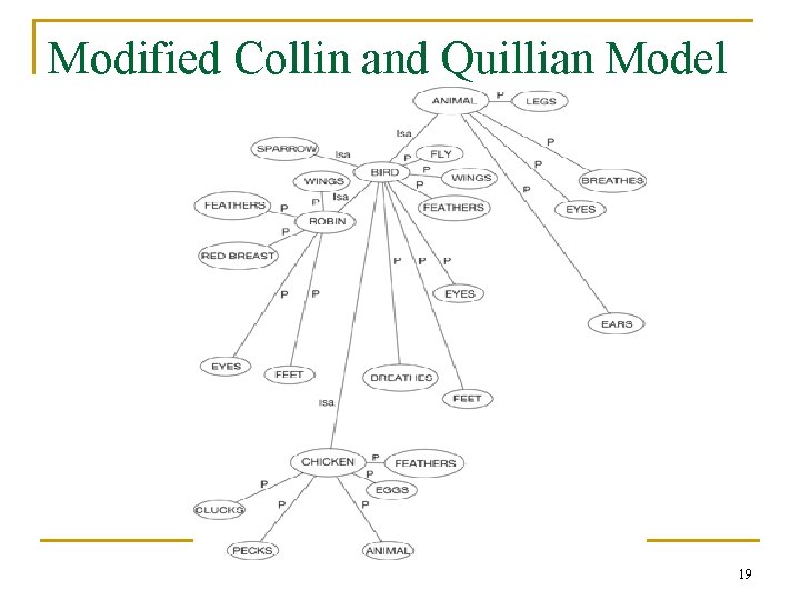 Modified Collin and Quillian Model 19 