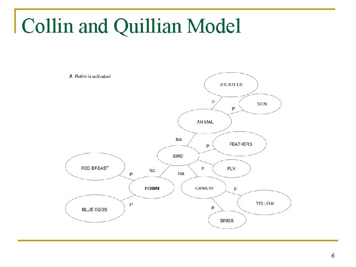 Collin and Quillian Model 6 