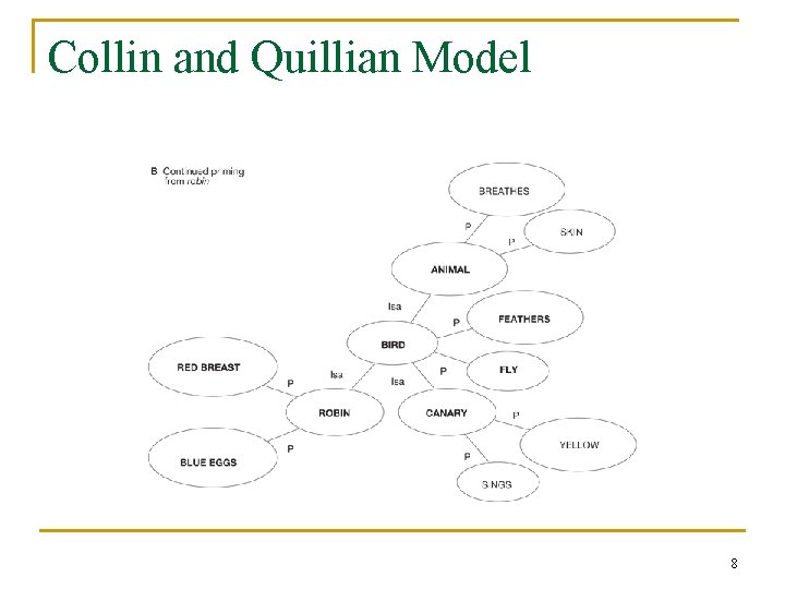 Collin and Quillian Model 8 