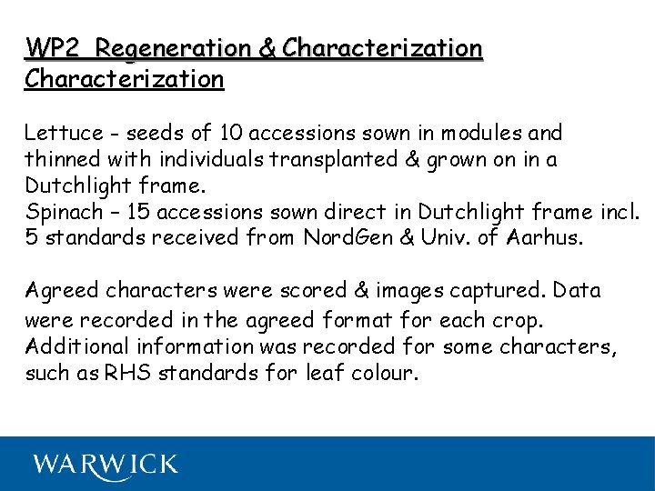 WP 2 Regeneration & Characterization Lettuce - seeds of 10 accessions sown in modules