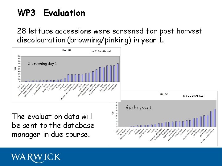 WP 3 Evaluation 28 lettuce accessions were screened for post harvest discolouration (browning/pinking) in