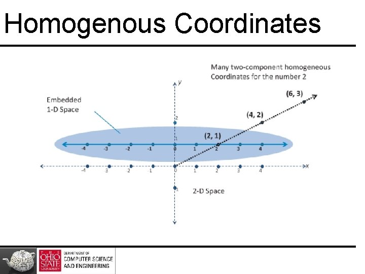 Homogenous Coordinates 