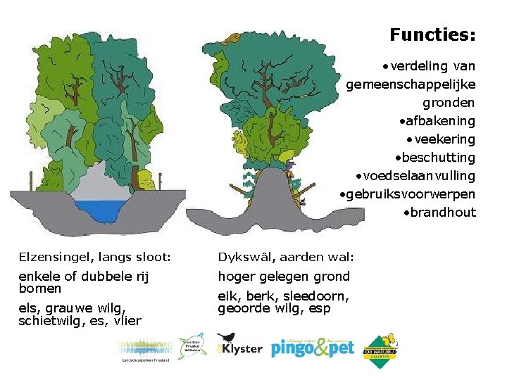 Functies: • verdeling van gemeenschappelijke gronden • afbakening • veekering • beschutting • voedselaanvulling