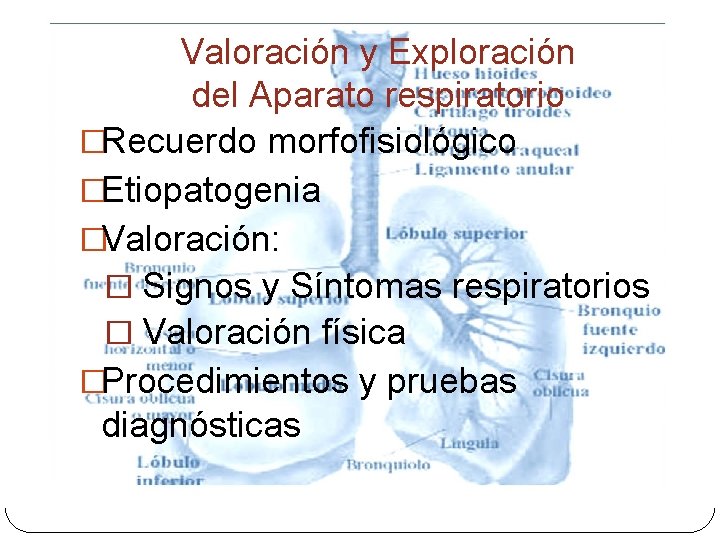 Valoración y Exploración del Aparato respiratorio �Recuerdo morfofisiológico �Etiopatogenia �Valoración: � Signos y Síntomas