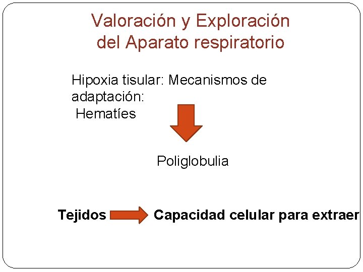 Valoración y Exploración del Aparato respiratorio Hipoxia tisular: Mecanismos de adaptación: Hematíes Poliglobulia Tejidos