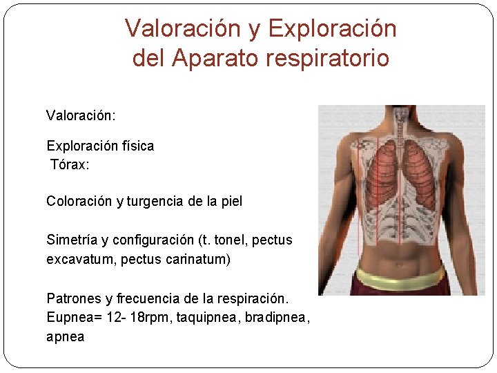 Valoración y Exploración del Aparato respiratorio Valoración: Exploración física Tórax: Coloración y turgencia de