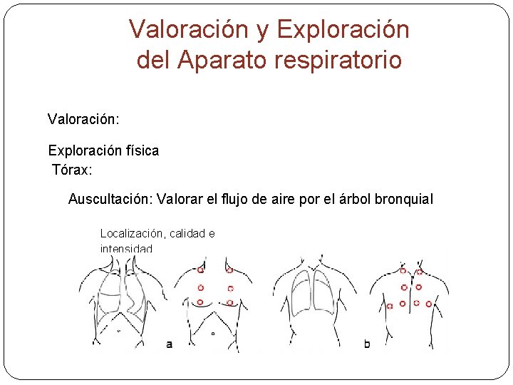 Valoración y Exploración del Aparato respiratorio Valoración: Exploración física Tórax: Auscultación: Valorar el flujo