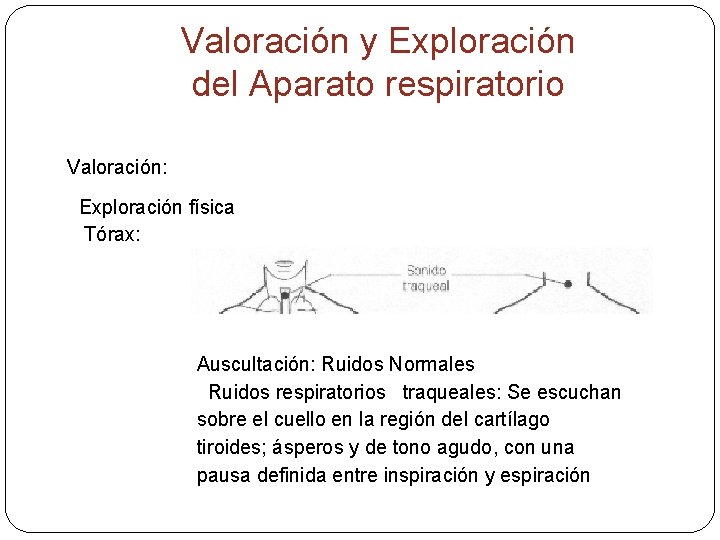Valoración y Exploración del Aparato respiratorio Valoración: Exploración física Tórax: Auscultación: Ruidos Normales Ruidos